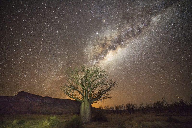 Cockburn Boab and Milkyway 20x30